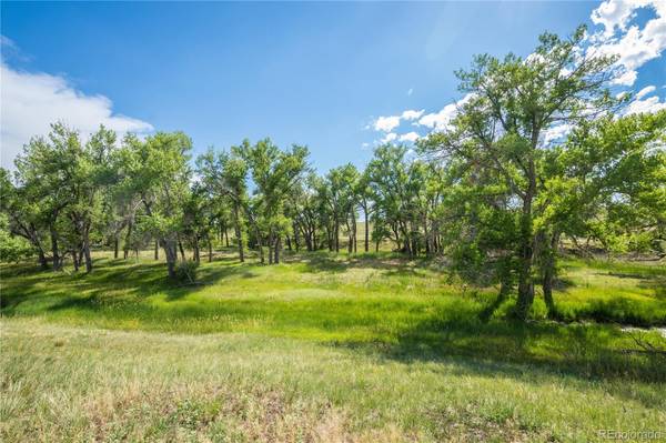 COUNTY ROAD 142-PARCEL 15, Kiowa, CO 80117