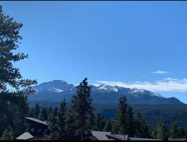 Woodland Park, CO 80863,271 Thunder RDG