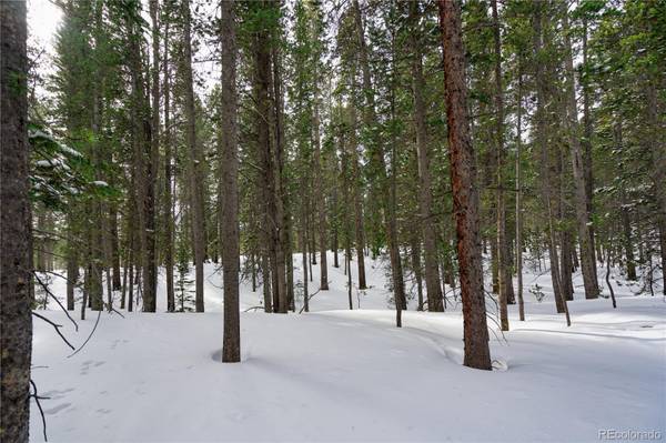 Idaho Springs, CO 80452,000 Alice RD