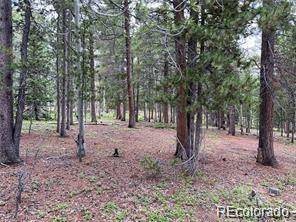 3 Paiute RD, Evergreen, CO 80439