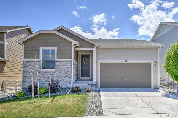 1746 Cade AVE, Castle Rock, CO 80104