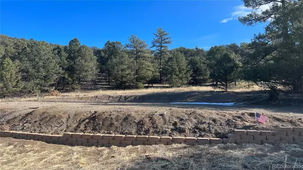 Cotopaxi, CO 81223,688 Iron Mountain LN