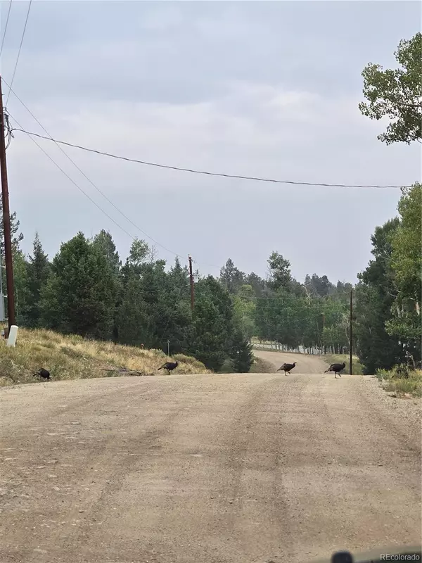 Hartsel, CO 80449,304 Kaufman RD
