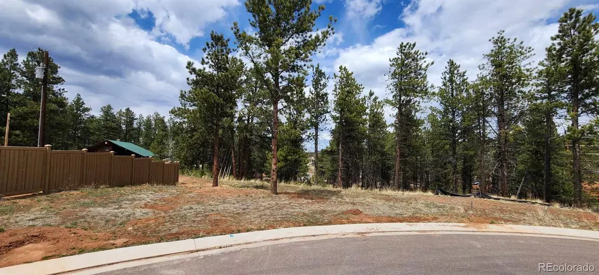 Woodland Park, CO 80863,1396 Roberts Ranch RD