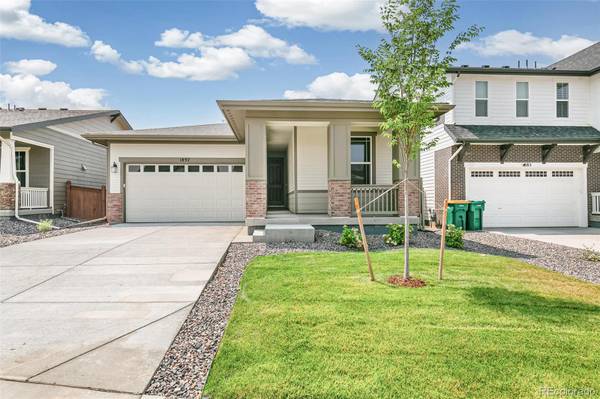 Brighton, CO 80601,1897 Spotted Owl CT