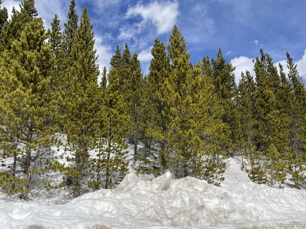 Idaho Springs, CO 80452,Lot 473 Hillside RD