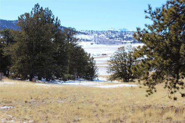 37 Black Canyon CT, Hartsel, CO 80449