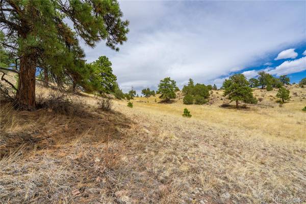 Guffey, CO 80820,000 Owls Nest RD