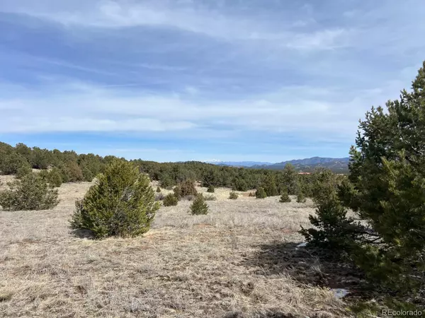Westcliffe, CO 81252,480 Wild Bill BLVD