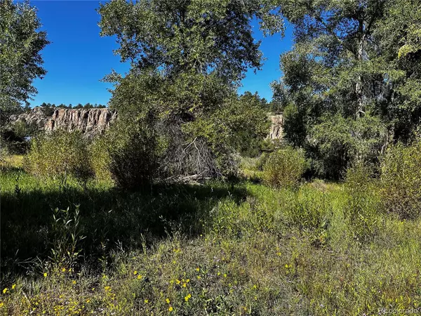 South Fork, CO 81154,169/209 Escondida DR