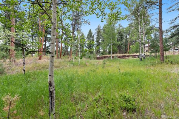 Woodland Park, CO 80863,941 Heather CT