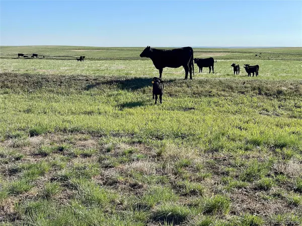 9 County Road 166, Deer Trail, CO 80105