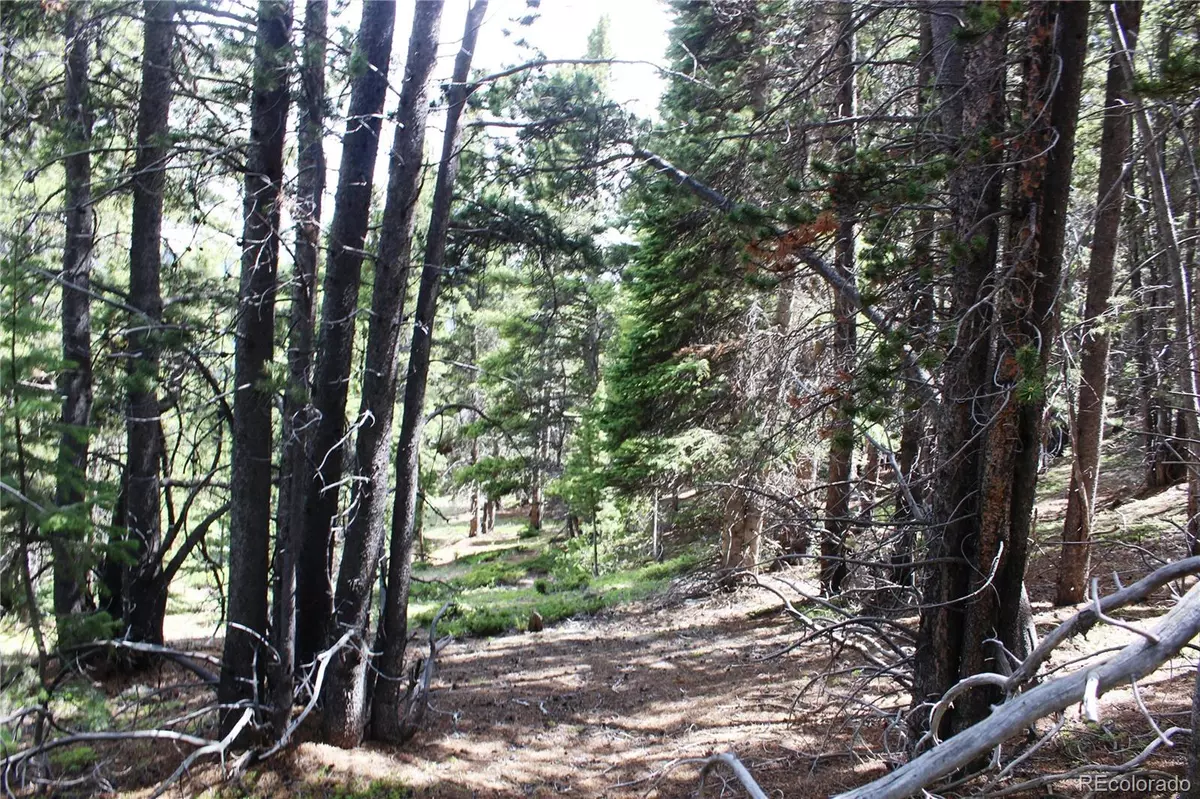 Idaho Springs, CO 80452,Group 2-3 Lamartine RD