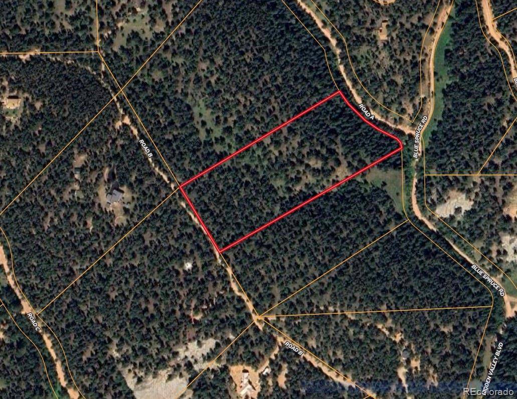 194 (A) Road B, Pine, CO 80470