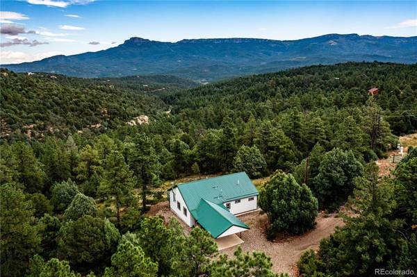 33280 Turkey Creek LN, Trinidad, CO 81082