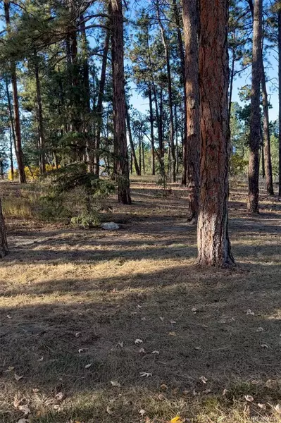 Rancho Escondido Lot 23C, Weston, CO 81091