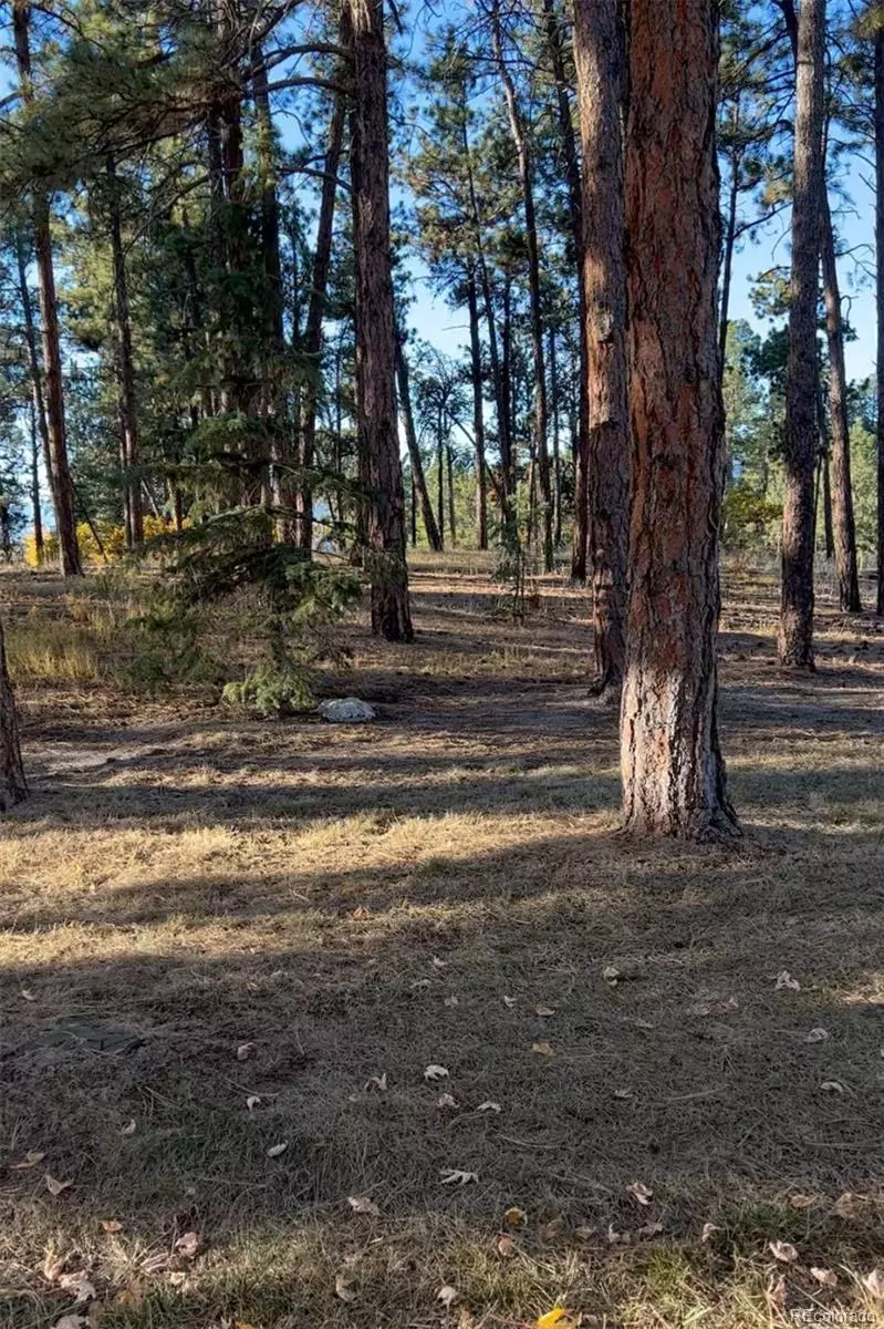 Weston, CO 81091,Rancho Escondido Lot 23C