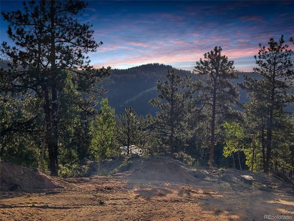 4501 County Road 72, Bailey, CO 80421