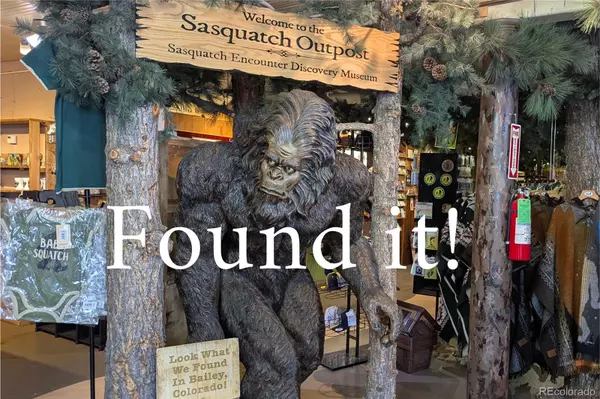 Bailey, CO 80421,4501 County Road 72