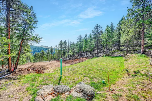 Bailey, CO 80421,4501 County Road 72