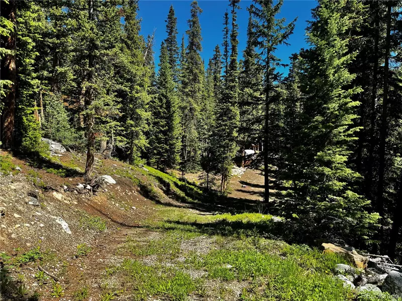 868 Sacramento XING, Fairplay, CO 80440