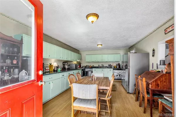 Fairplay, CO 80440,237 Foxtail CT