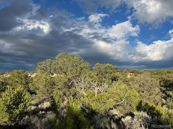 Fort Garland, CO 81133,Lot 7222 Burnham RD