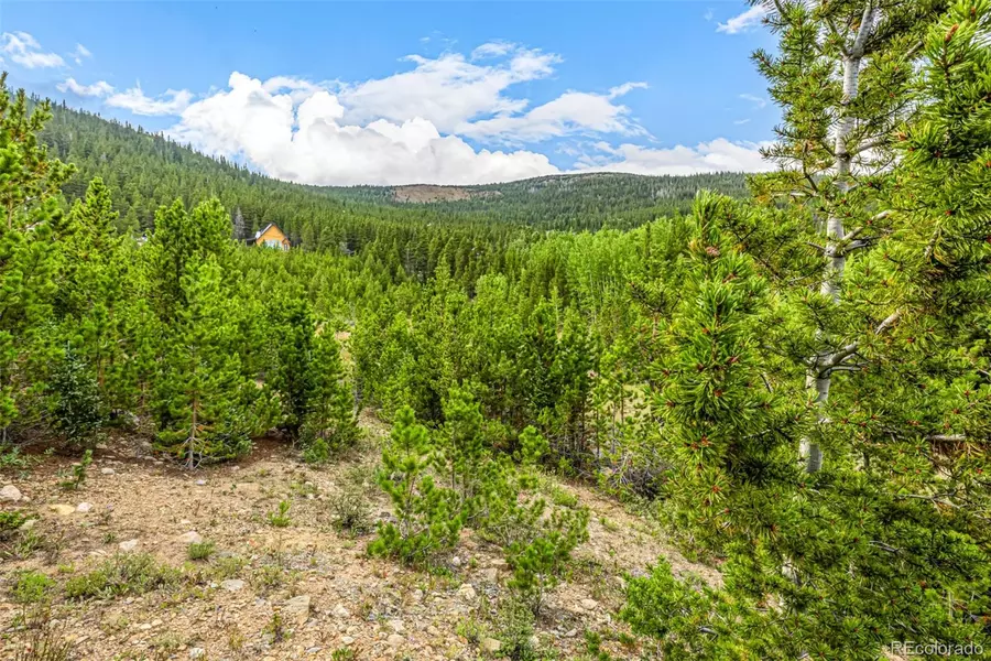 Aspen RD, Idaho Springs, CO 80452