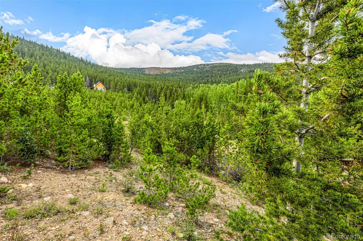 Idaho Springs, CO 80452,Aspen RD
