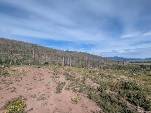 Fort Garland, CO 81133,910 Ueda PL