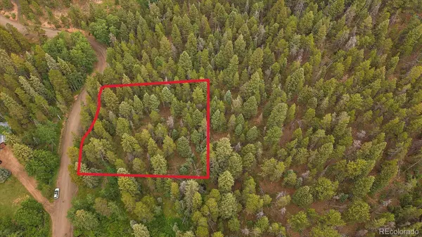 Conifer, CO 80433,27578 Timber TRL