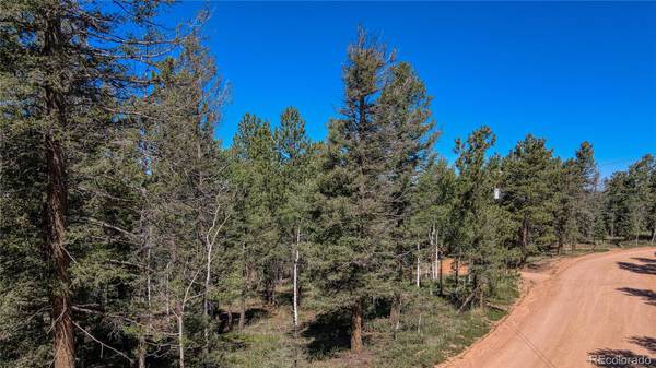 Divide, CO 80814,3723 Omer LN