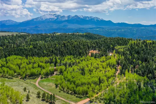 Woodland Park, CO 80863,10955 Grenadier RD