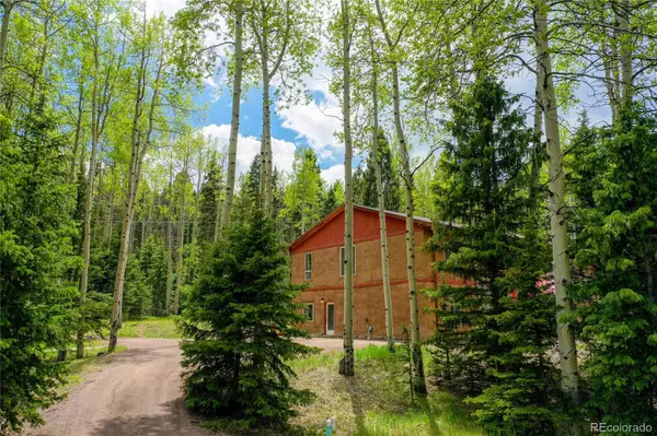 Woodland Park, CO 80863,10955 Grenadier RD