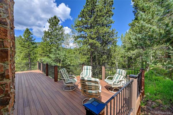 Idaho Springs, CO 80452,81 Mountain View DR