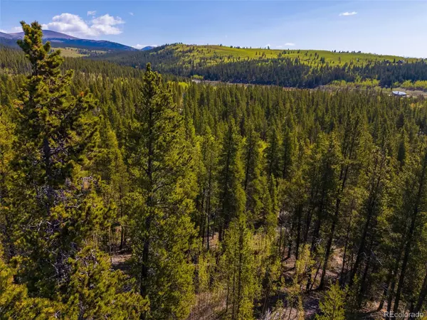 Fairplay, CO 80440,89 Ski Doo RD