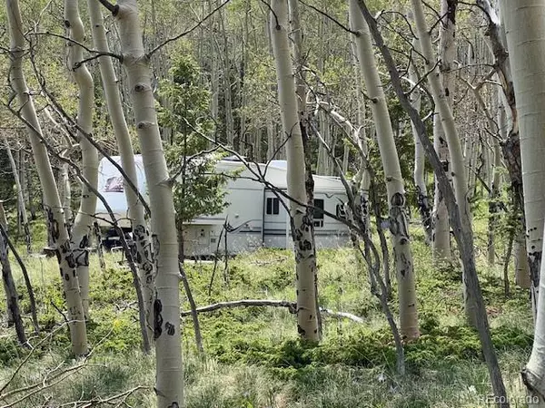 Hartsel, CO 80449,8093 Ranch RD