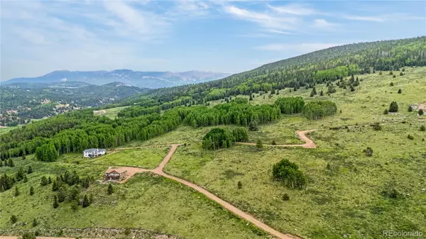 Cripple Creek, CO 80813,306 Troy WAY