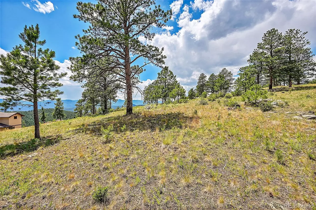 Pine, CO 80470,33550 Mount Wilson TRL