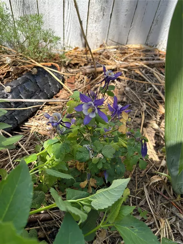 Wheat Ridge, CO 80212,3501 Sheridan BLVD