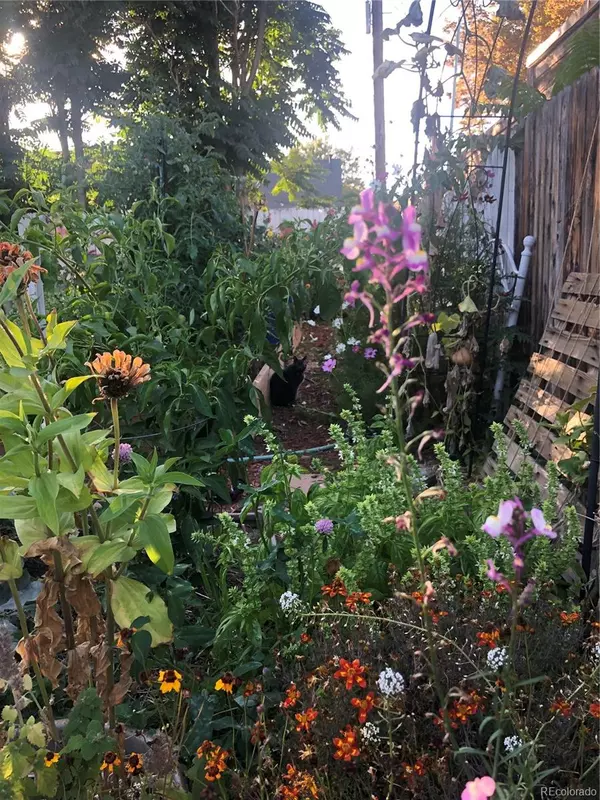 Wheat Ridge, CO 80212,3501 Sheridan BLVD