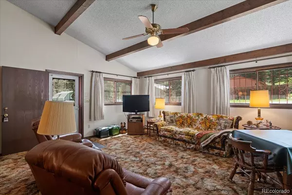Rye, CO 81069,107 County Road 378