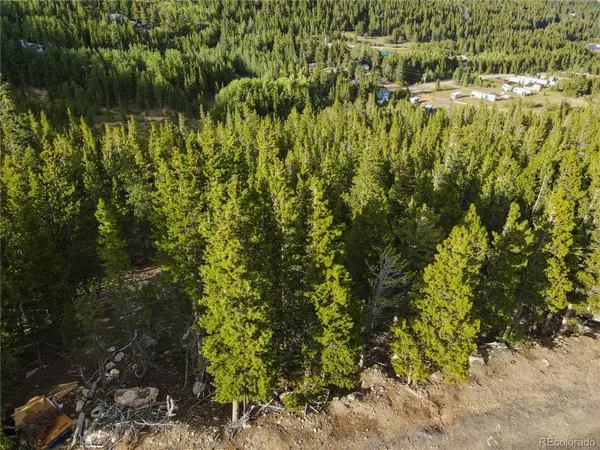 Idaho Springs, CO 80452,Lot 328 Eva RD
