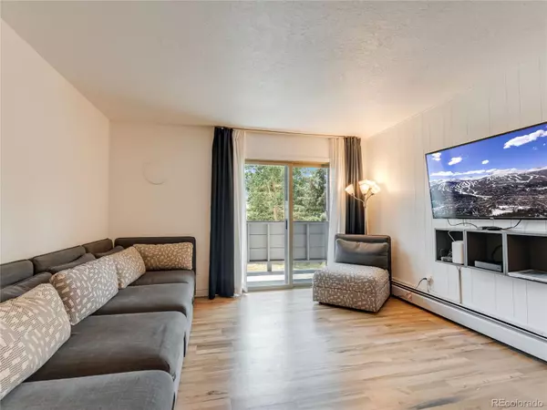 Dillon, CO 80435,675 Straight Creek DR #208