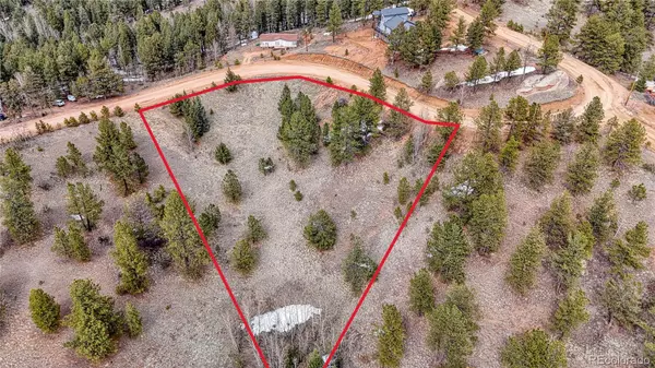 Cripple Creek, CO 80813,336 May Queen DR