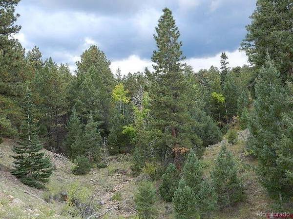 San Luis, CO 81152,Lot 34 Lakeview RD