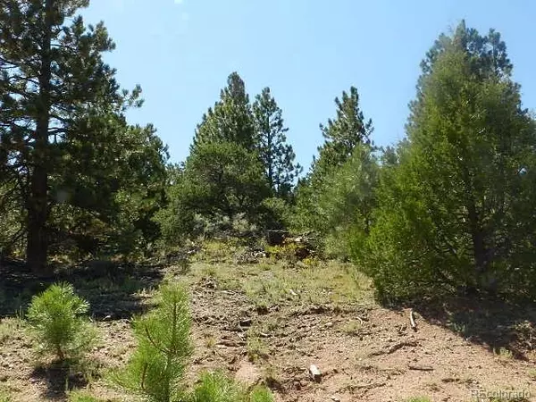 San Luis, CO 81152,Lot 34 Lakeview RD