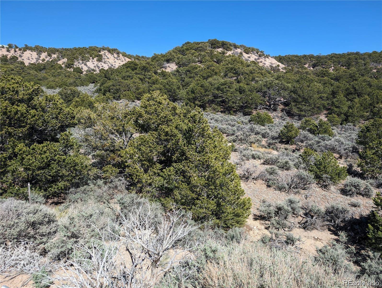 Lot 2131 Trujillo RD, Fort Garland, CO 81133