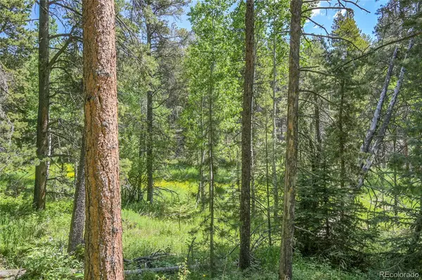 Conifer, CO 80433,7 S Wallace AVE