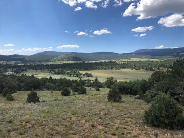 Rosebush RD, Canon City, CO 81212